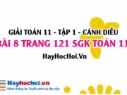 Giải bài 8 trang 121 Toán 11 tập 1 SGK Cánh Diều